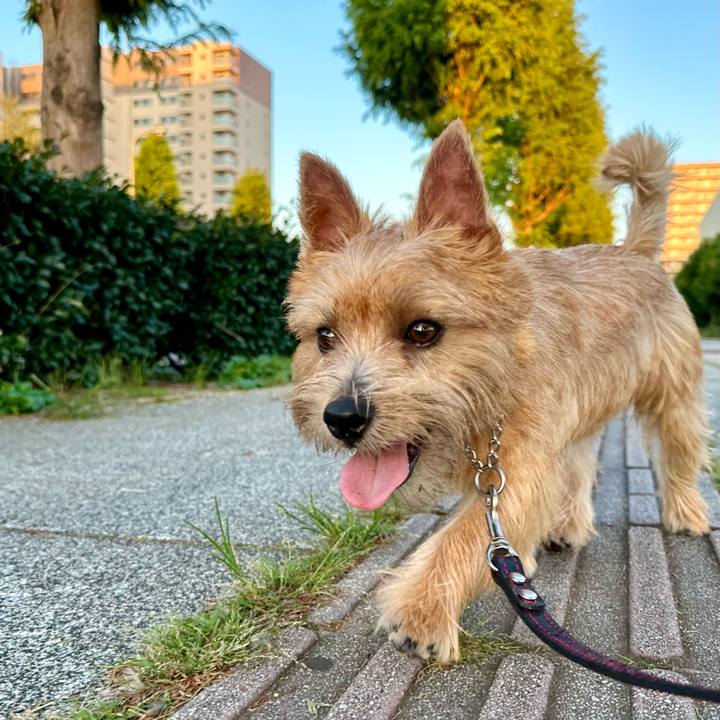 5c72b39f d850 44b8 a64e 4f9c57f1e090 1726192608059