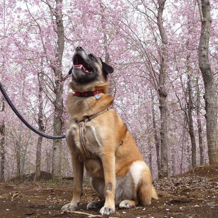 5c72d3e7 8b89 4858 93b3 13e3afbc114c 1576972991698