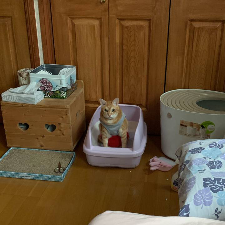 5c7349e0 3783 46c4 937f 695f2b861679 1599602487805