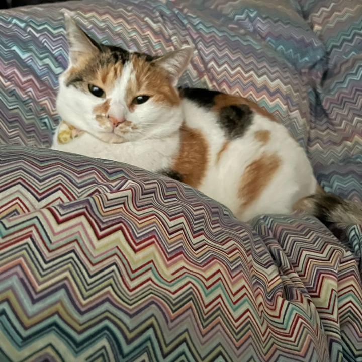 5c736aba dc53 4577 a871 dbb5192ebaf0 1641777549969