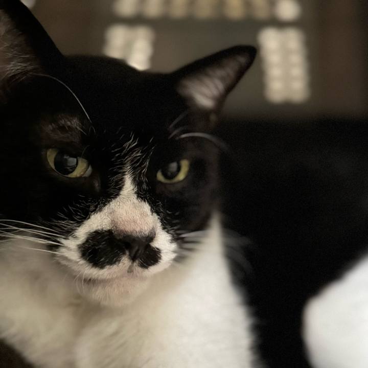 5c736edc 4c40 4600 9ea6 a72105e7eae1 1759276885740