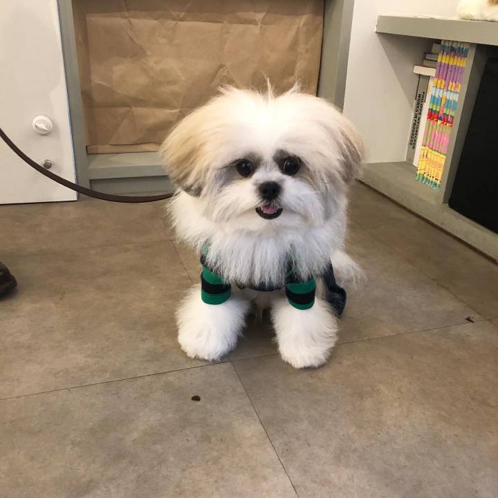 5c73960d 6d30 4cd7 83f0 331d37c55aad 1601156361544