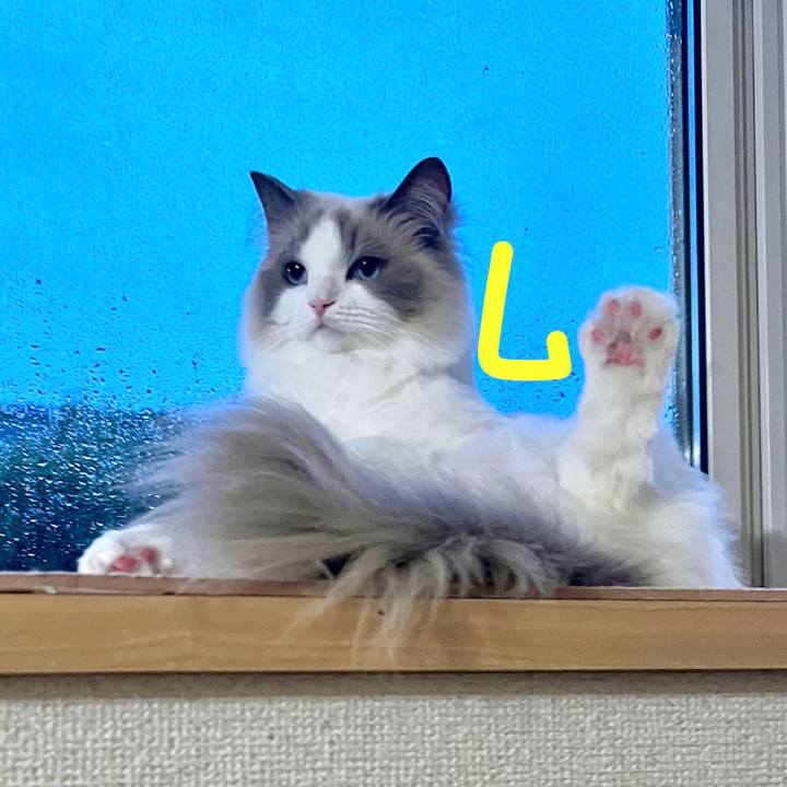 5c73a791 0306 4db6 87eb 750a1b991abd 1687515216941