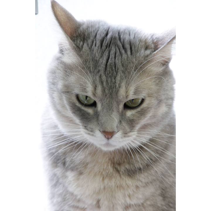 5c73c65c 2b53 4f9f a939 15c60b352b87 1603460282546