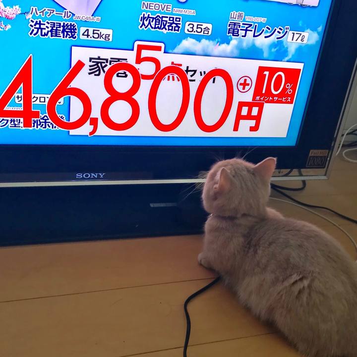 5c7438e0 24ee 42fc a772 597c7e5e6d5e 1517011190855