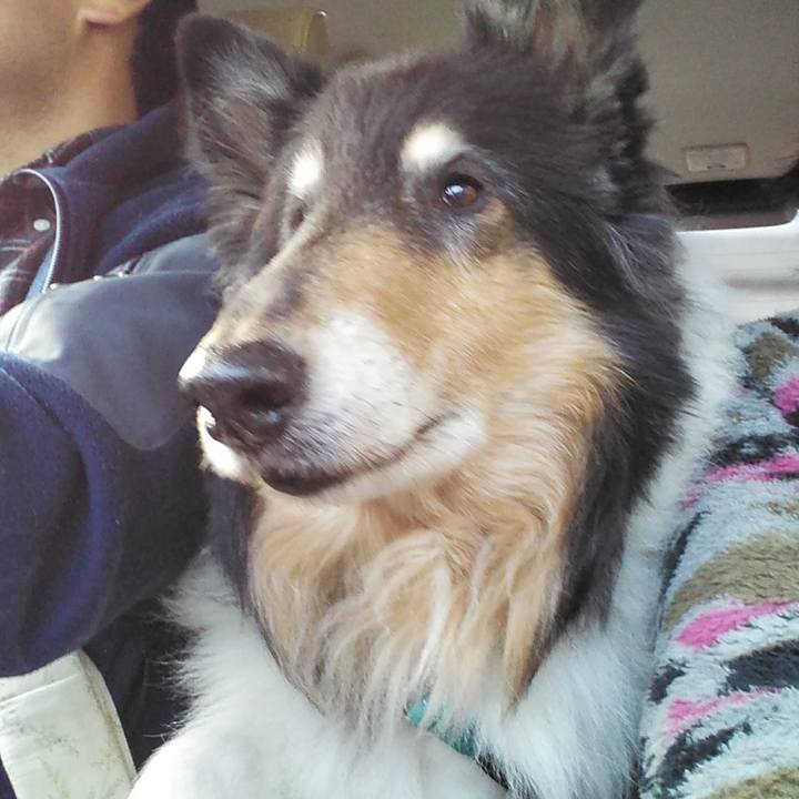 5c7447ad 2d88 4130 84f7 e74195500833 1578051356205