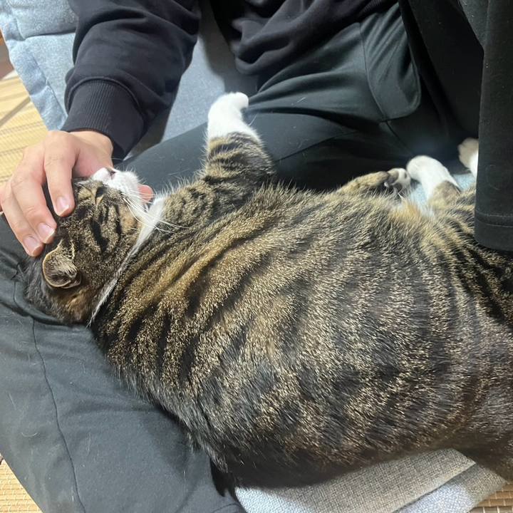 5c7479e4 144f 43a5 bba4 b08f5bcb89ee 1776125461540