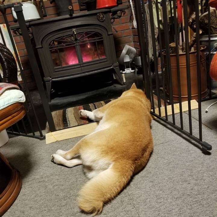 5c74babf 5f34 4aea 8cbf 4e5324dd516b 1640690924079