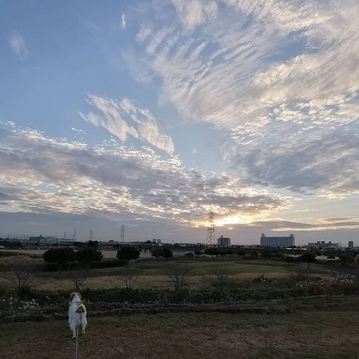 5c74c66e 4707 4c8f 9644 af567788c38b 1573644812497