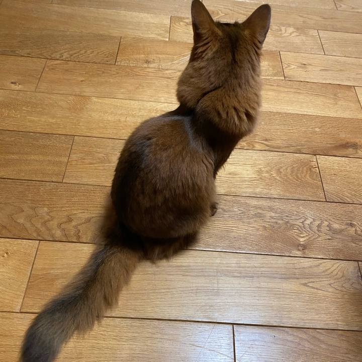 5c74f9ae 4798 4161 96a6 e4d2c20da701 1675989080278