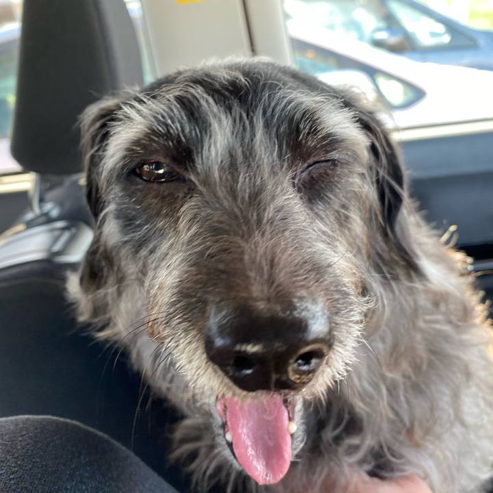 5c74fd3e 70c6 435d bcf5 c262a84dfe72 1671146349489