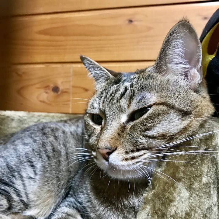 5c754a74 5d3f 47d7 8e75 684584603cdf 1524556679152