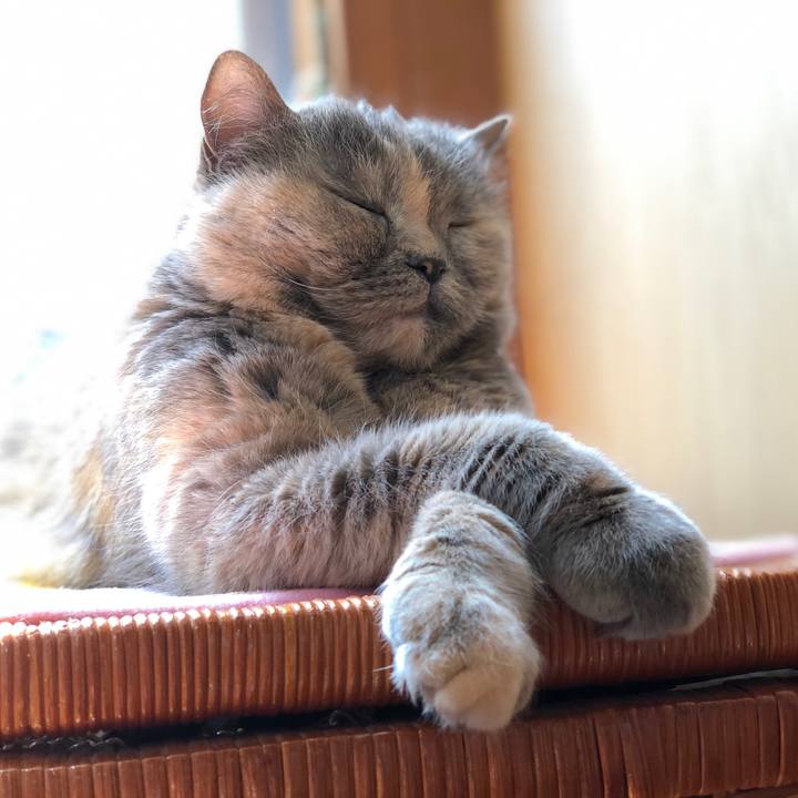 5c754c2c 44c6 4e3a b26c 46efdc47679b 1773332713081