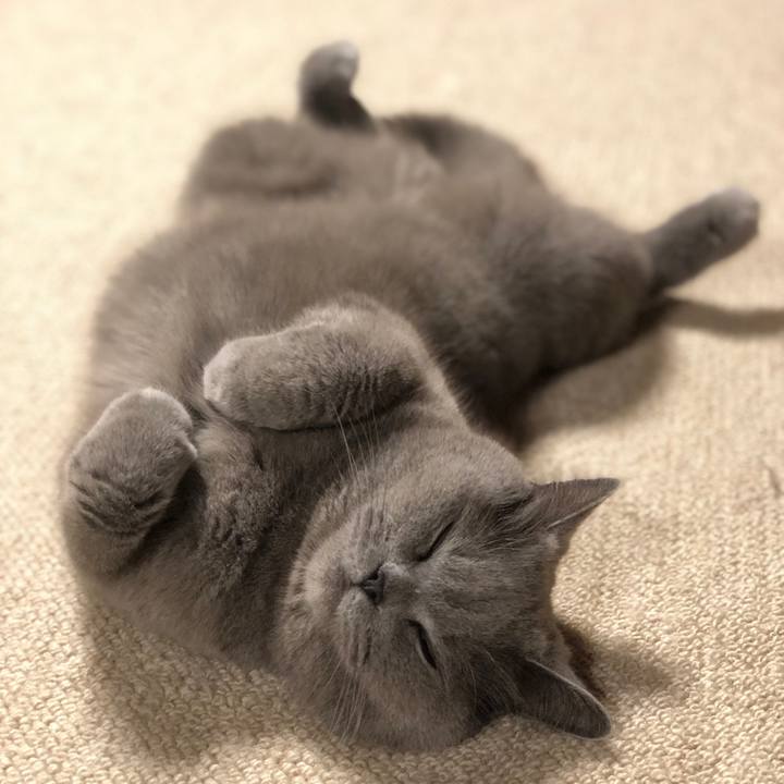 5c7594a8 a003 463f a096 21a8919e2fc1 1558354758047