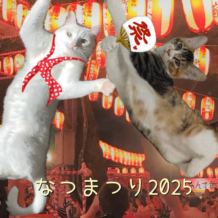 5c75a079 7949 4d35 ac25 1f36dc52759d 1756626560738