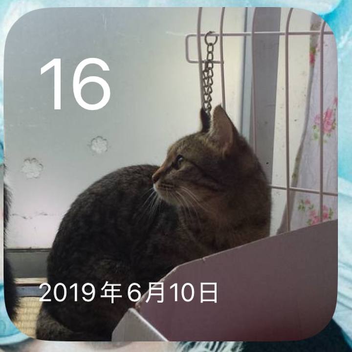 5c75a836 2863 4f4c 921c 94a215f0a3bb 1750031591766