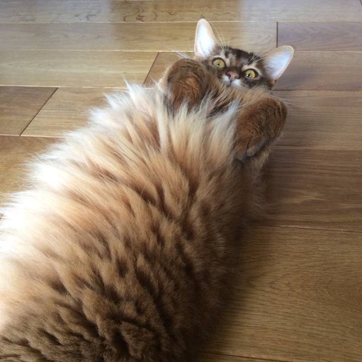 5c75ba90 31f8 48c1 a84d 50ffbc40178f 1630888049491