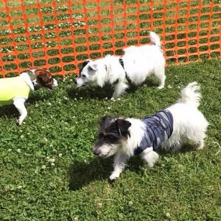 5c75c0e3 9d6f 433a b2ff eaaf2bcb92bf 1589325950132