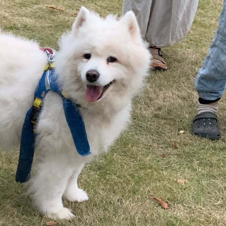 5c75da1b b80d 4d83 93ab 943d2b243c7f 1732724993732