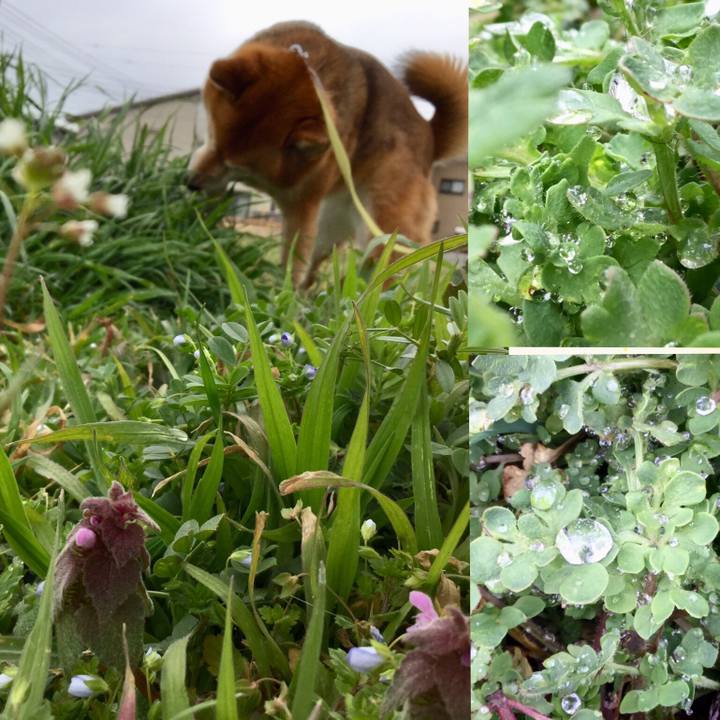 5c75f76d 8000 4c36 9239 2bed325fb9ee 1583385440859