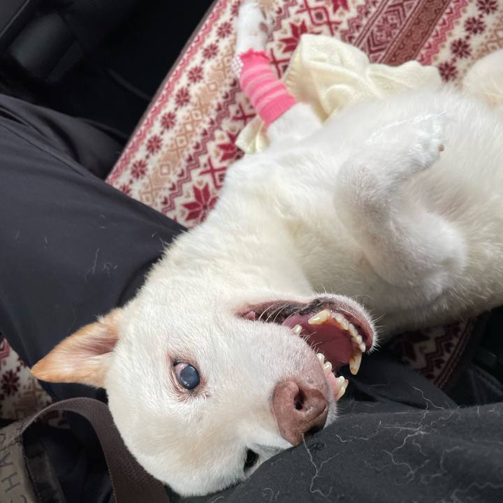 5c75f9ca 4911 49a3 9395 43b75ccd1fab 1664859114882