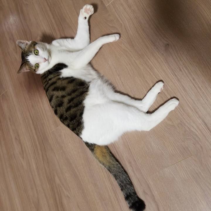 5c760e5e 8a38 48e5 9980 6dcdf5e4da77 1584530509348