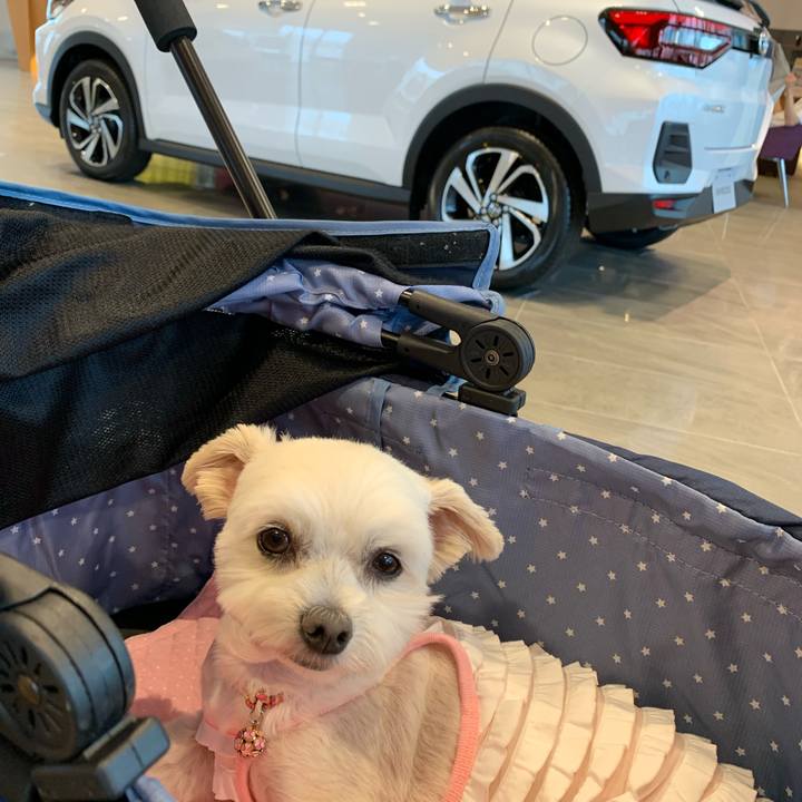 5c7616cc b129 4e62 9dfc fd4aa397c3d9 1624690172501