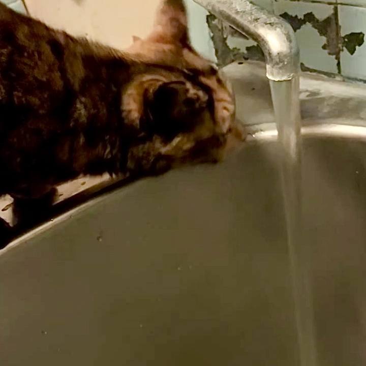 5c765c23 18ac 45f0 a679 607145592642 1746996358575