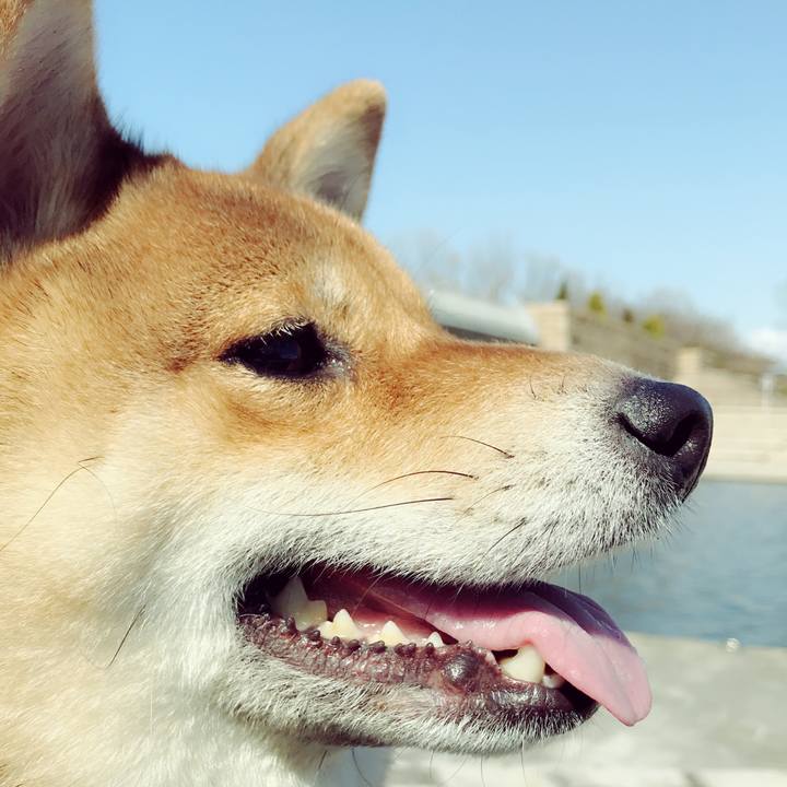 5c765faa 64b1 40d2 b0fe 4dec9fcf77ec 1557502398935