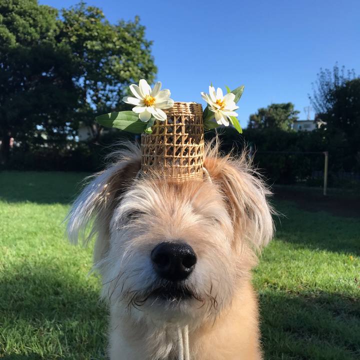 5c766bfe 2268 480a 8bb8 5e3b45e5f0e6 1601257155641