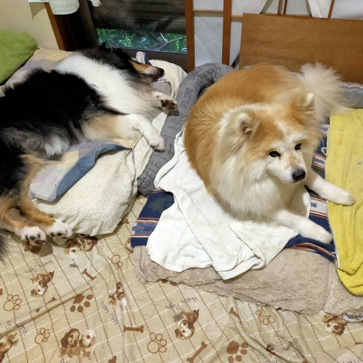 5c76adae e13c 4173 8b8e 796b9354cde2 1626006509382