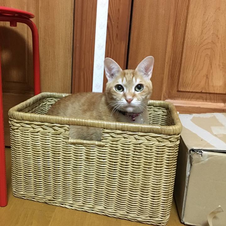 5c76d373 57e6 4fd6 90f7 3563ef6ae9f3 1545796768334