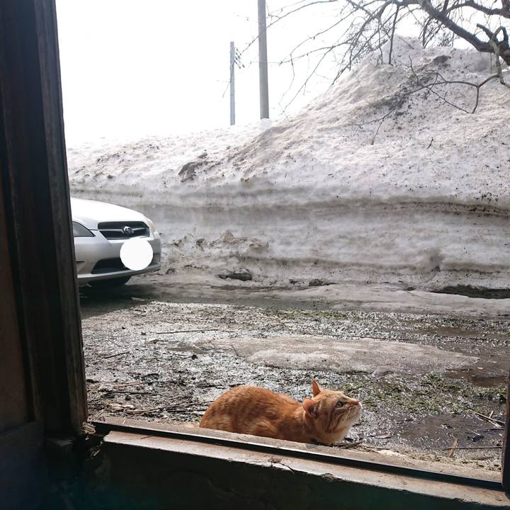 5c76f1ca c06b 476f b75c 88c61638041a 1646184856695