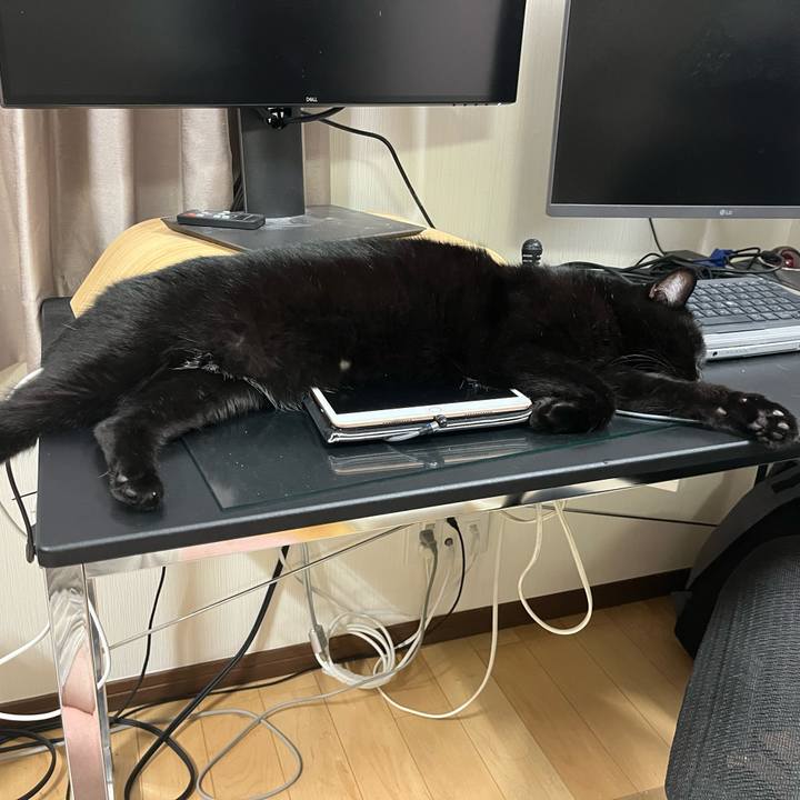 5c771476 4edc 4896 91b4 5ff3c6e06319 1693662296059