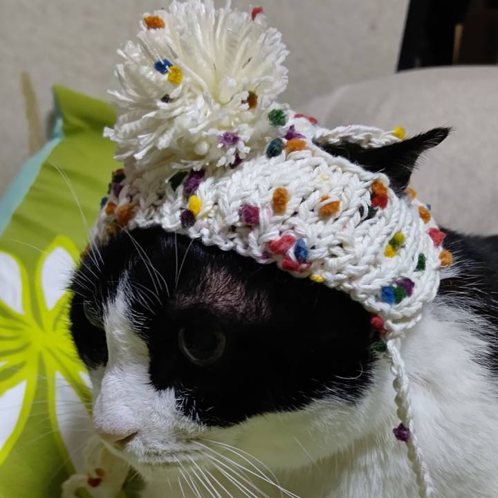 5c772c22 1f5d 426d a96b 7357f0a9a74f 1635677959408