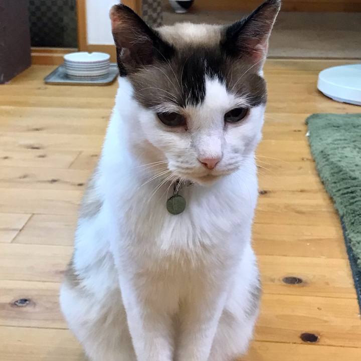 5c773b13 e85a 4639 b7dd 8fa89b77dd19 1625816902792