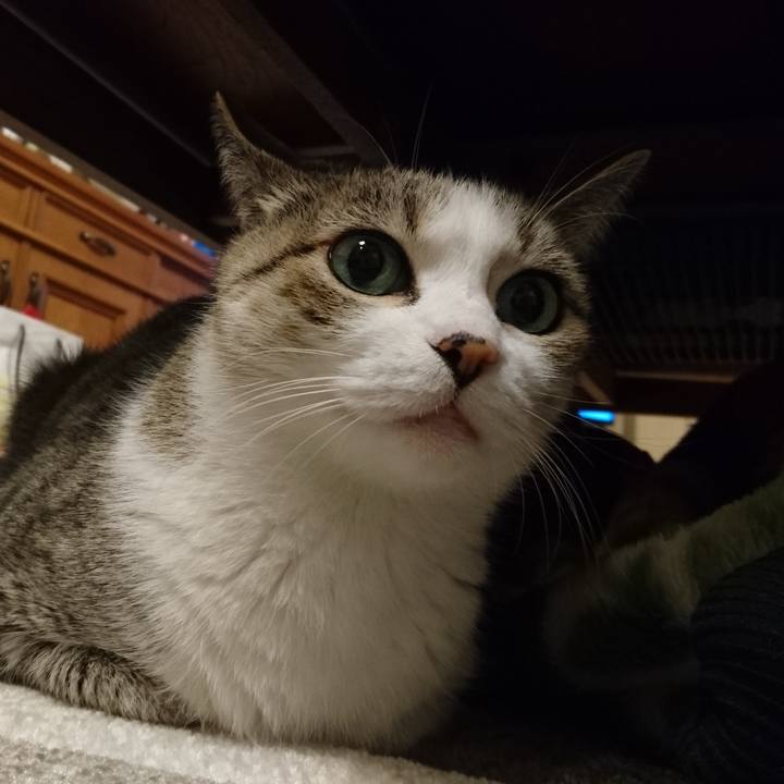 5c774c9a 10ae 4ec3 97d8 76d80a71d598 1769382521221