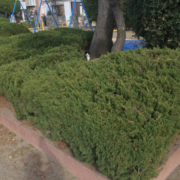 5c777748 4c5d 4fa1 bbe8 eeee826a6ba1 1613218501005