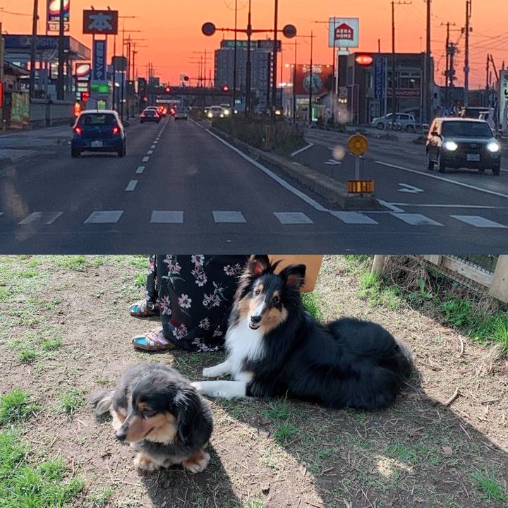 5c7778d3 f3ce 4673 88b0 a7bfea1b8818 1557006986891