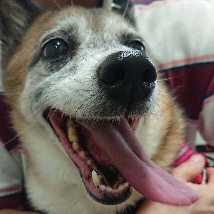 5c7794da fe97 4c13 82d8 b33212cf9c91 1595850092260