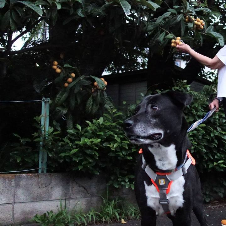 5c77bc7e ef97 4e85 9906 f88baa1a6585 1717239957987