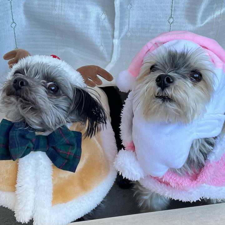 5c785fc2 4be4 4611 83d6 a6fe08d7f04b 1766023381474