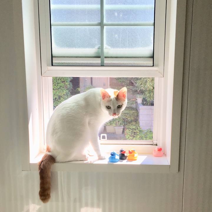 5c789283 552b 413c 80dc 3b408eb9a27b 1531587691964