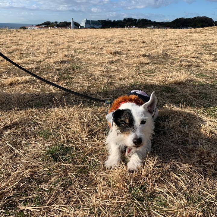 5c78b65f d80f 47f4 b605 147e12a4ec93 1704416677486