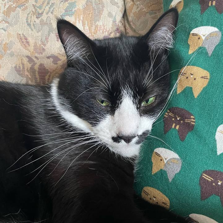 5c78b7f2 9147 4525 850f 7d9aeb0525ef 1674449828701