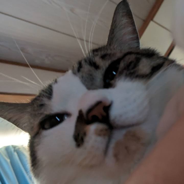 5c78f20a ce19 4486 be9e 8d08754bb773 1708243925988