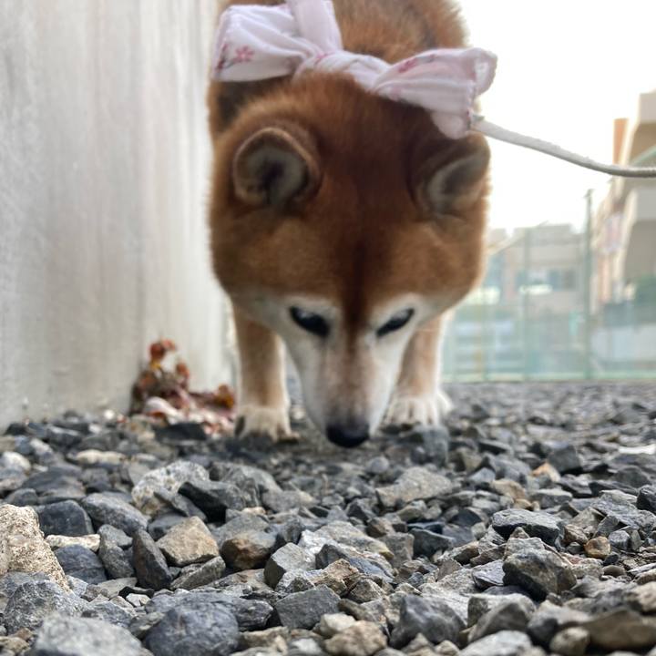 5c78f5d1 4daa 4ffd 8992 5e187e8e71f4 1723278686379