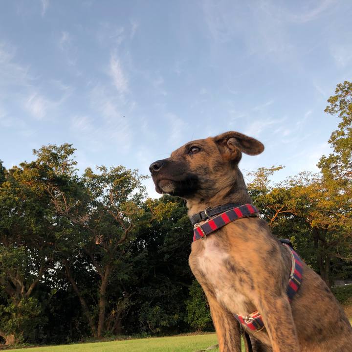 5c790b06 ff14 45eb b31e d9600c3d2ff1 1568892277858