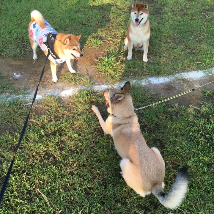 5c790d5b 9d94 43f6 bea1 9e2e5f11f340 1533074093481