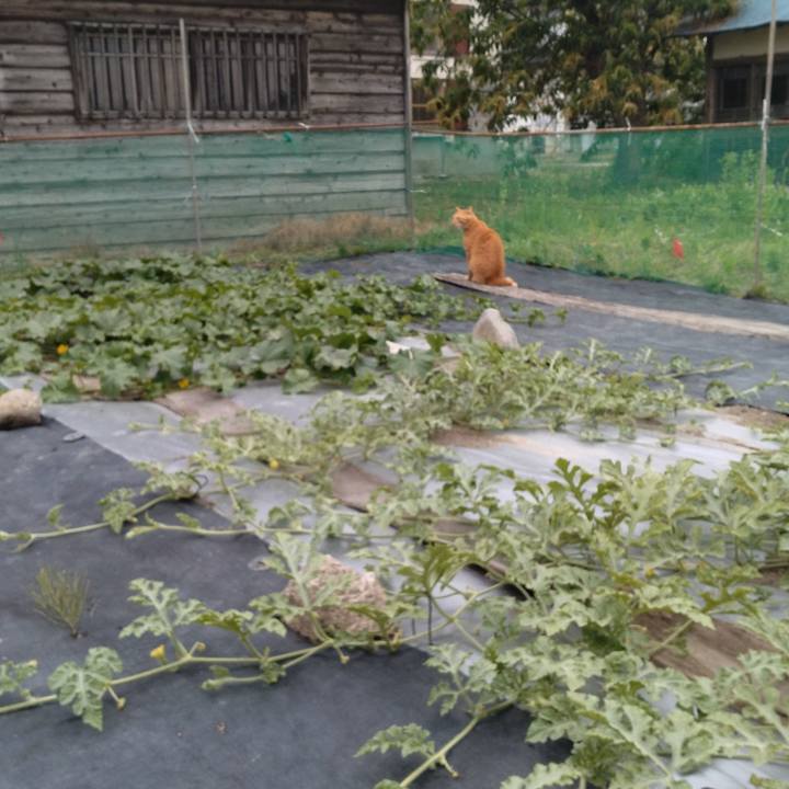 5c791707 43ef 4133 8254 546b9000988c 1718964024067